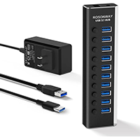 Rosonway Powered 10 Port USB 3.1 Hub (W/ Type A and C cables)